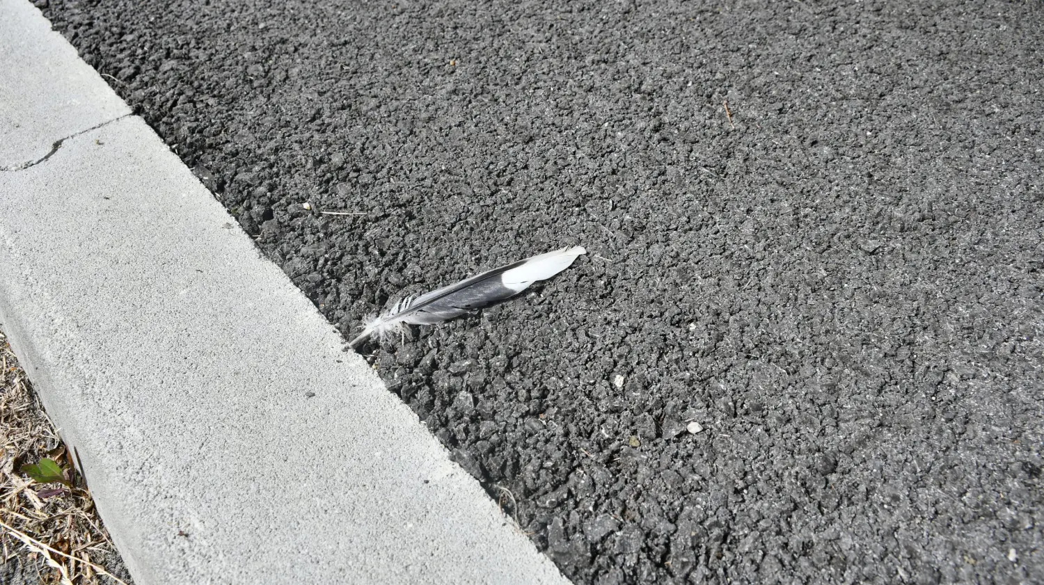 rode,draškovec (5) rode,draškovec (5)