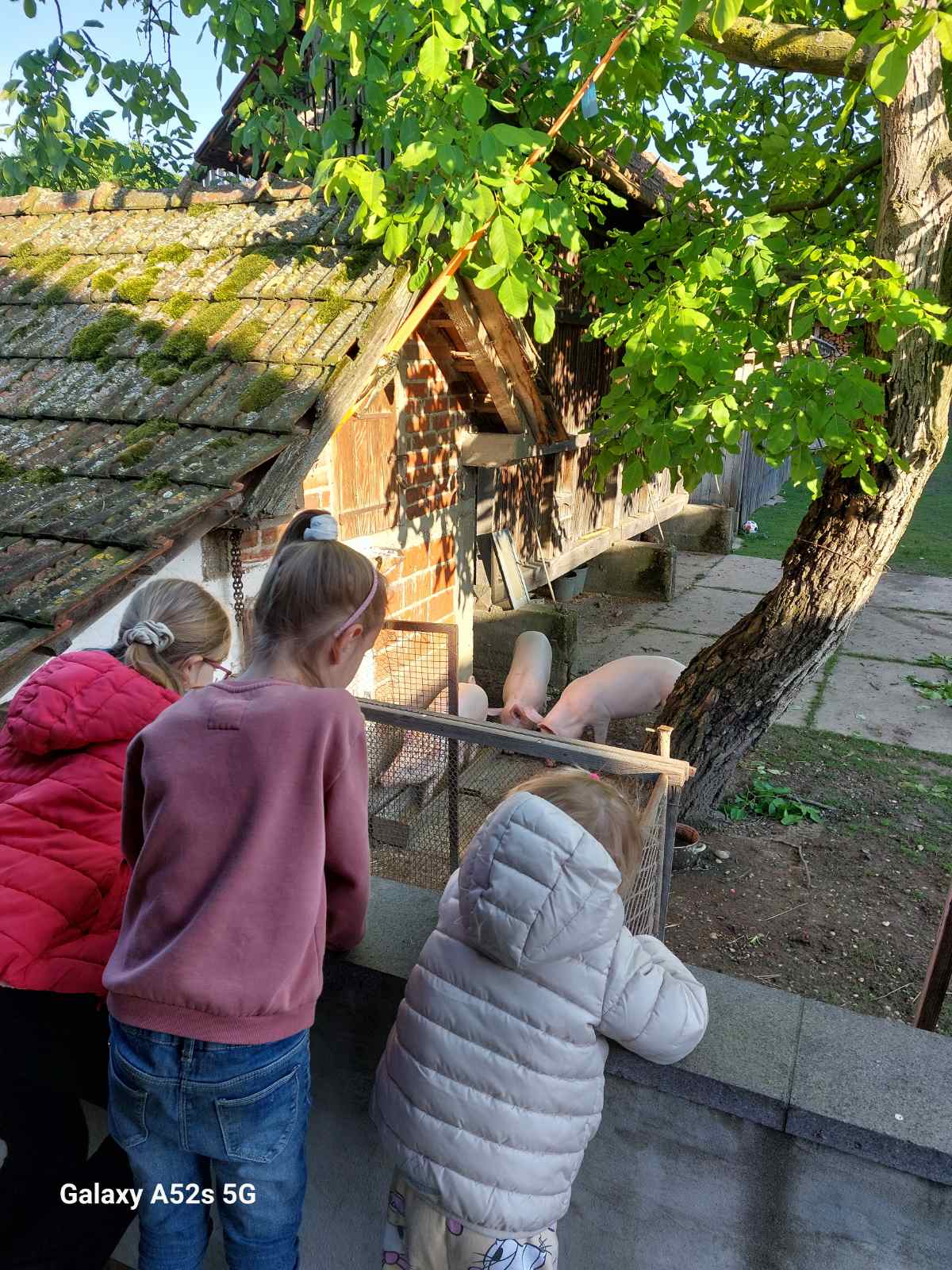 rođendan petar krušelj (2)