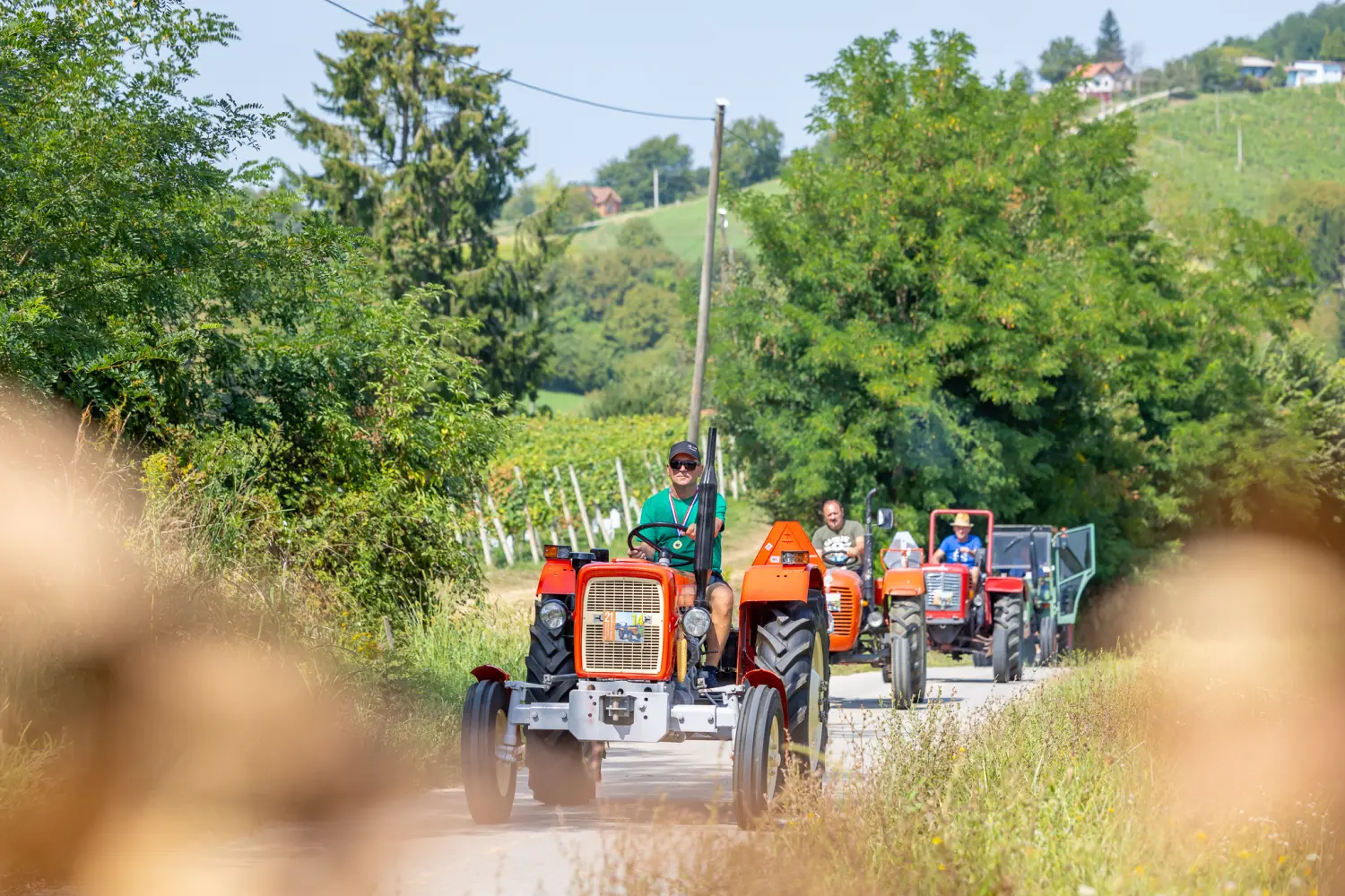 rokovsko proštenje sveti urban, (20)
