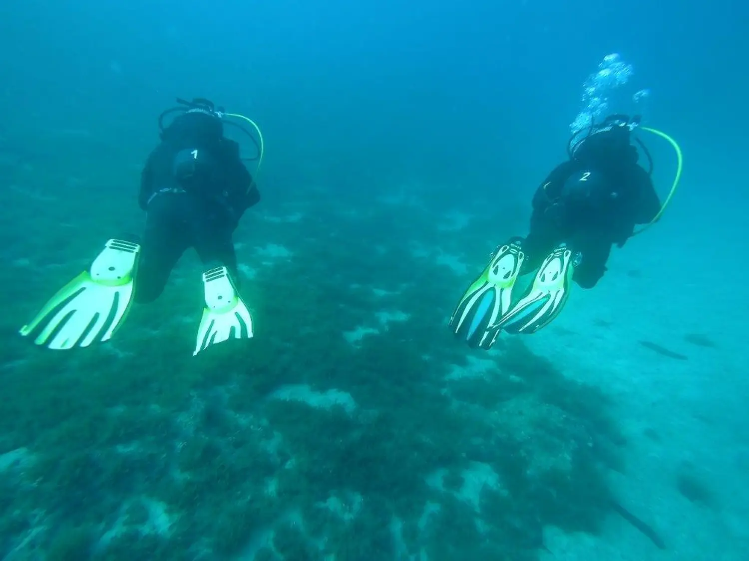 ronioci, dubravko cvetko, jvp čakovec (4)