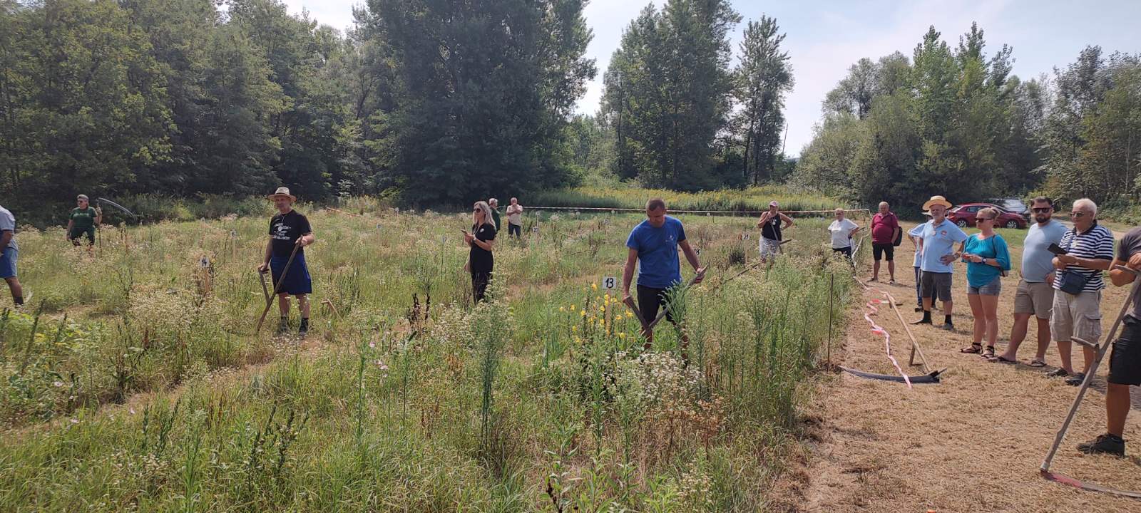 ručna košnja trave sveti martin na muri (2)