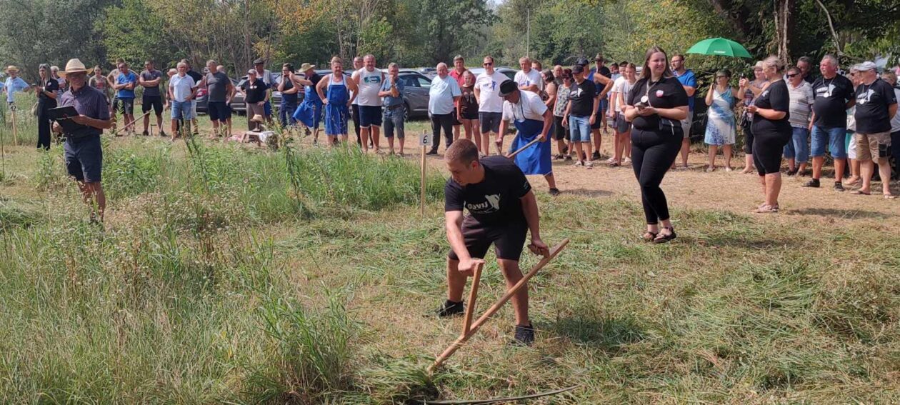 ručna košnja trave sveti martin na muri (3)