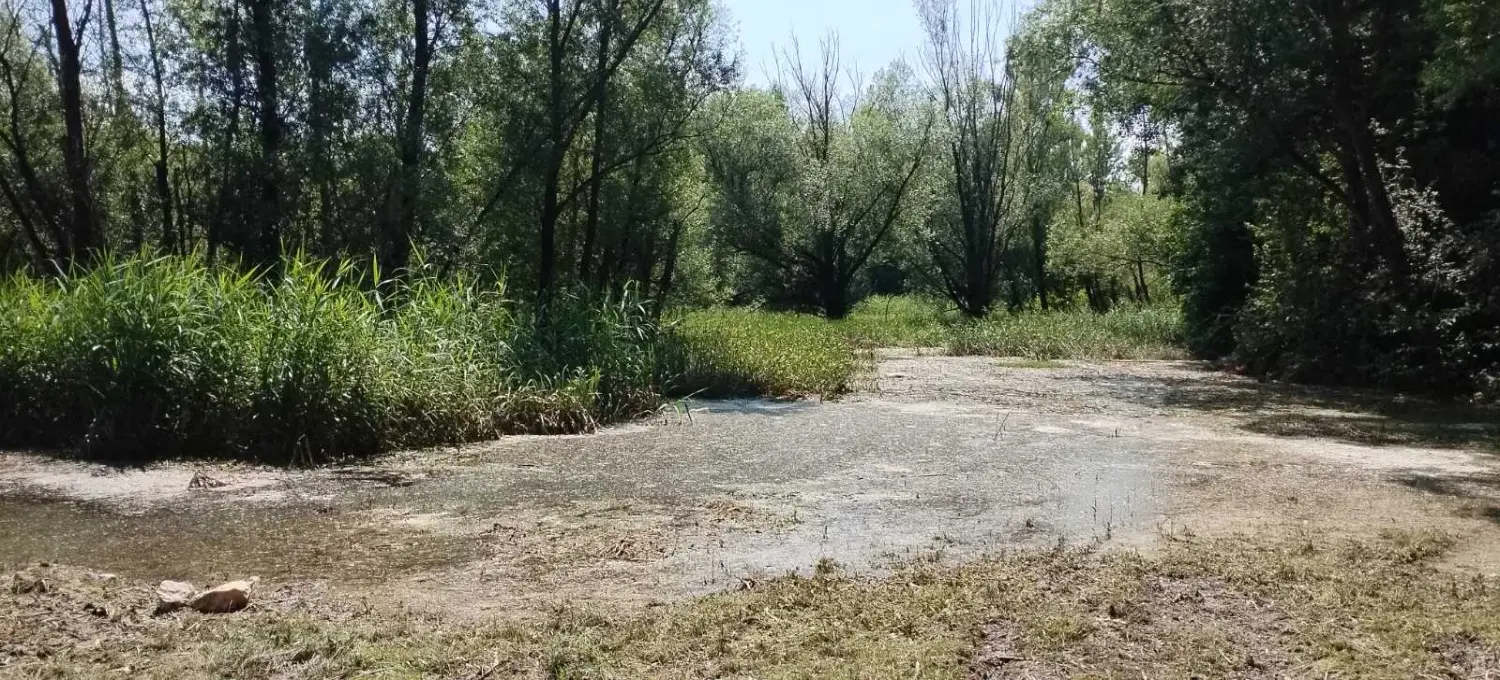 rukavac rijeke mure,mura (10)