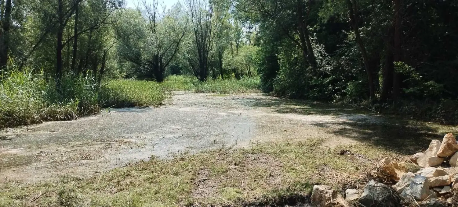 rukavac rijeke mure,mura (2)