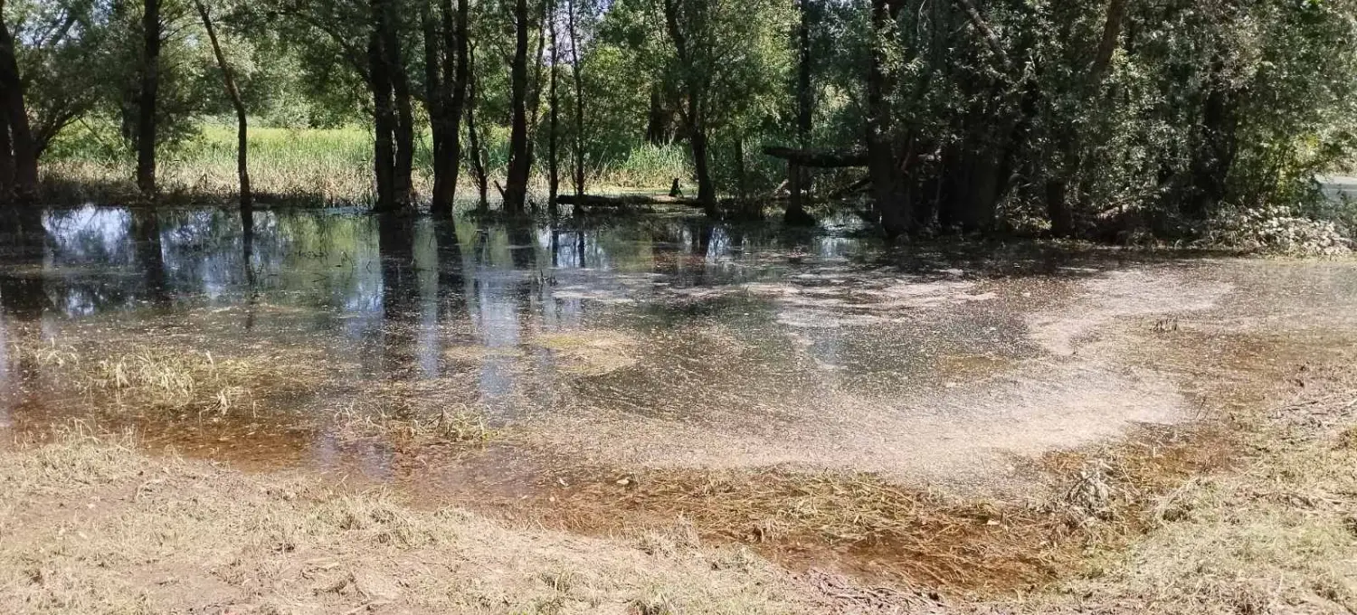 rukavac rijeke mure,mura (4)