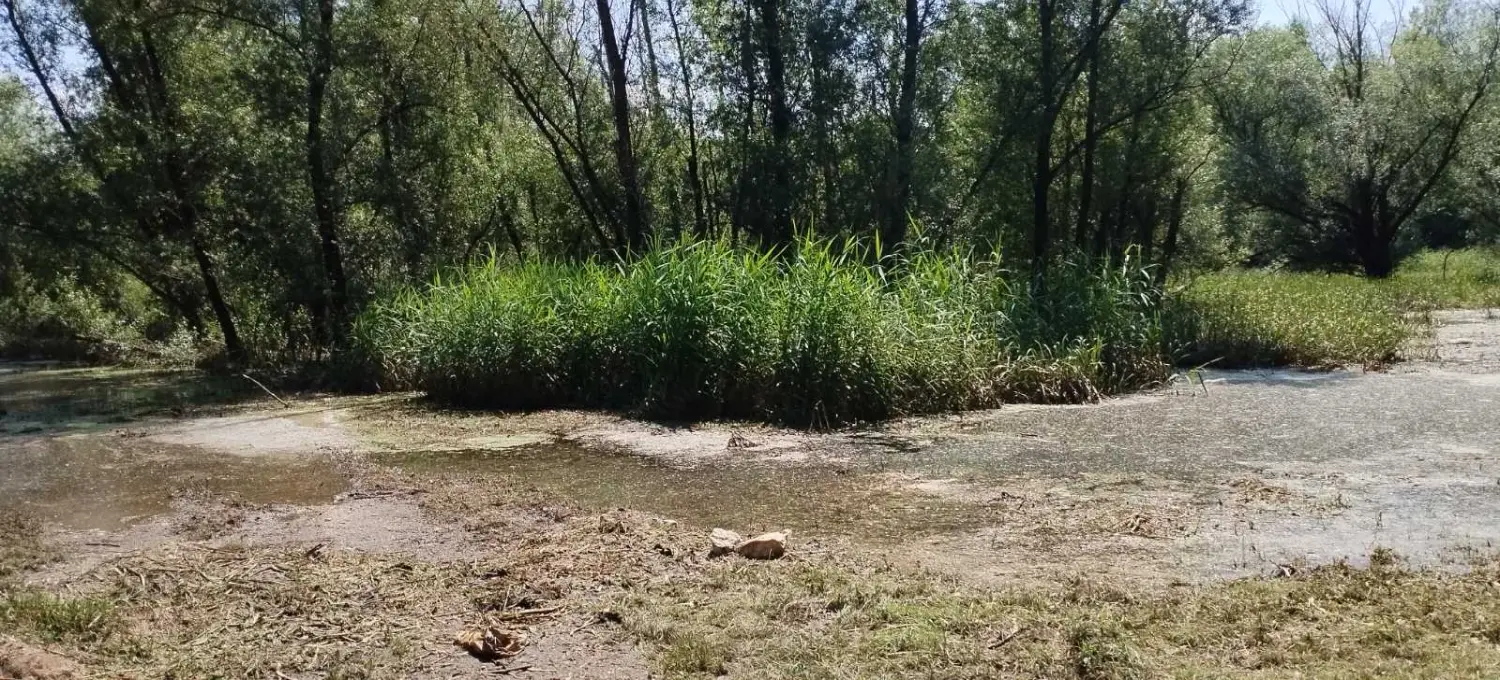 rukavac rijeke mure,mura (5)