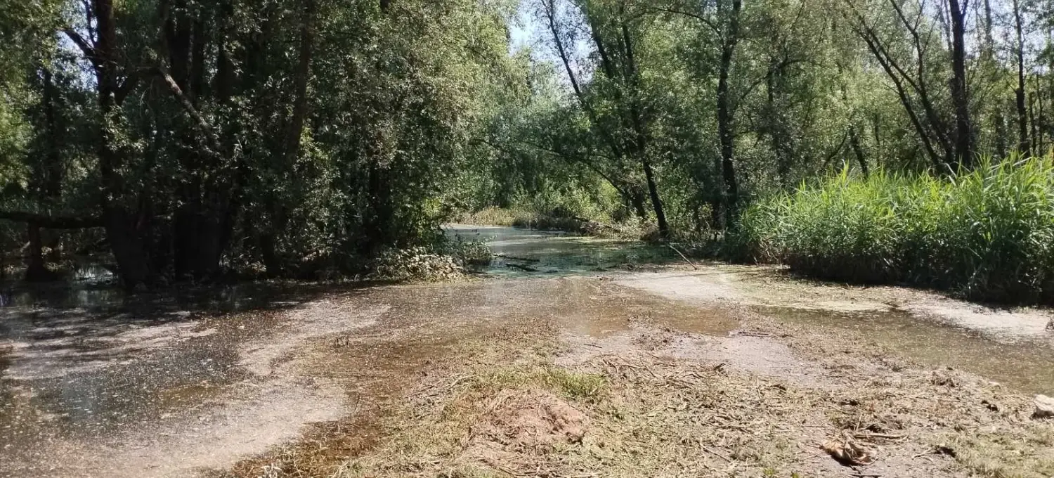 rukavac rijeke mure,mura (7)