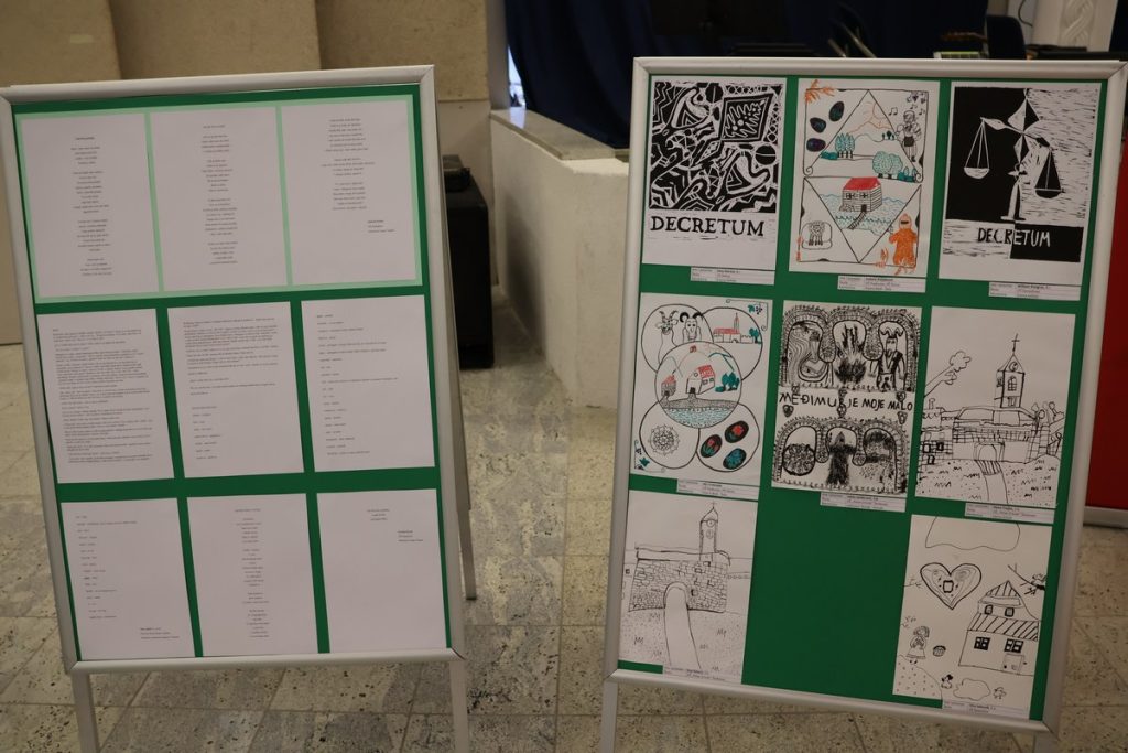 ruža međimurska 2025 (6) ruža međimurska 2025 (6)