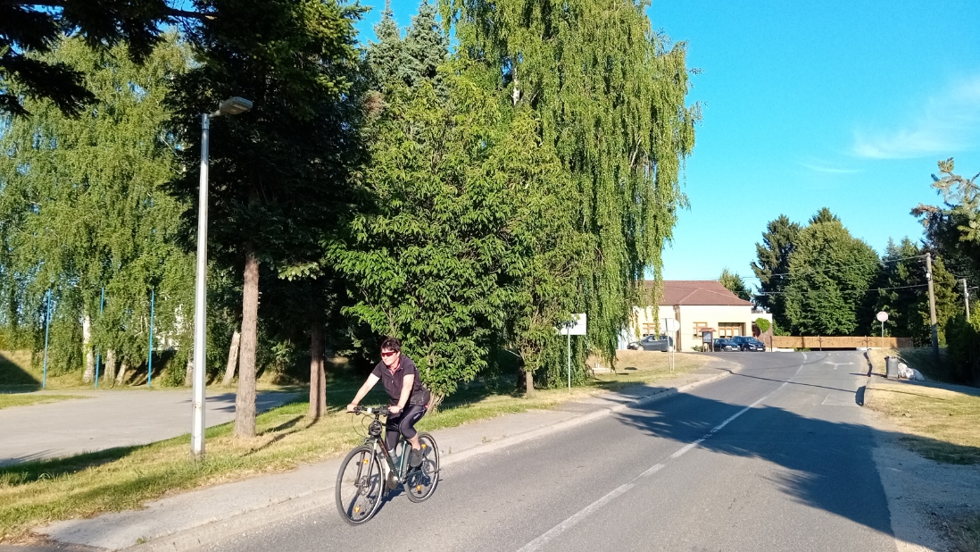ružica 8