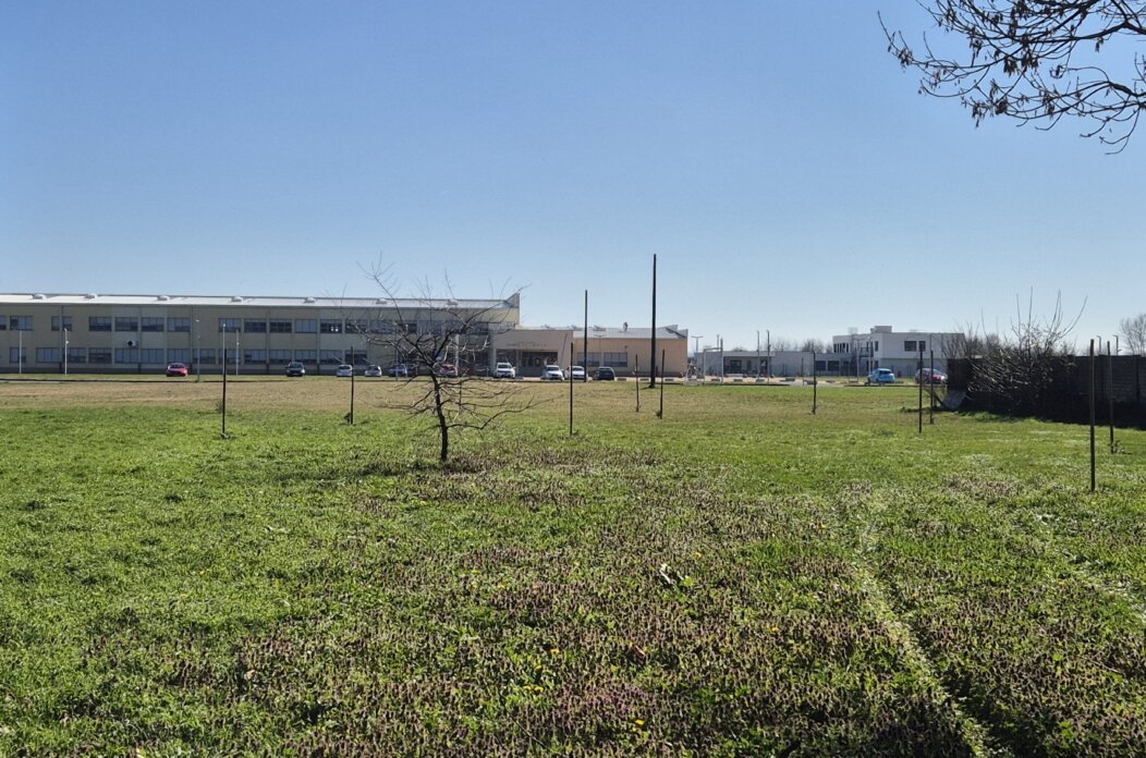 sadnice,park,pribislavec (1)