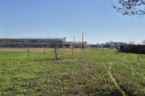 sadnice,park,pribislavec (1)