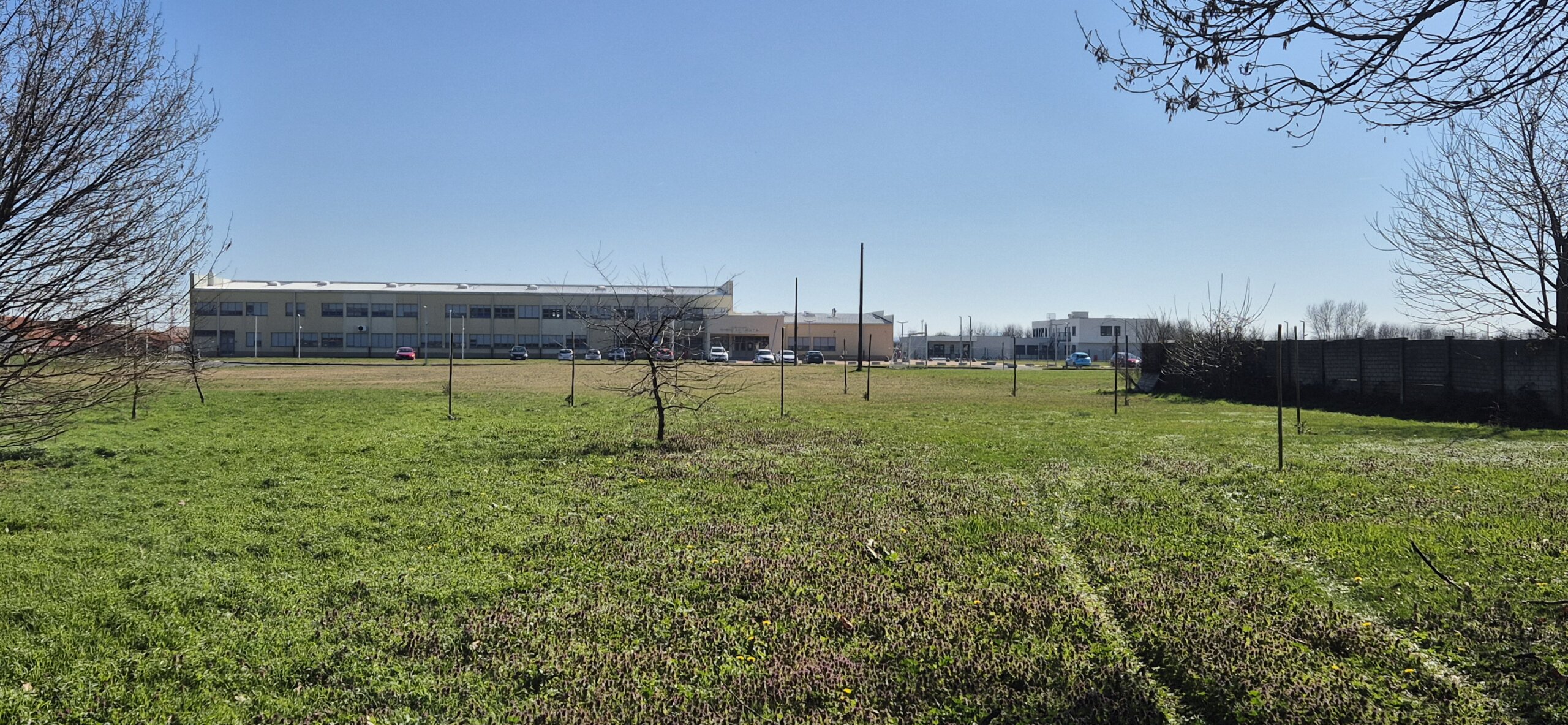 sadnice,park,pribislavec (1)