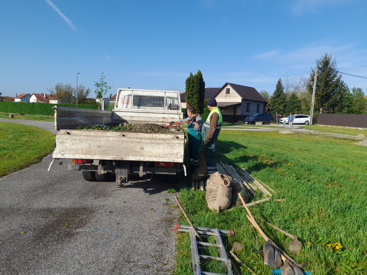 sadnja drveća Kotoriba (2)