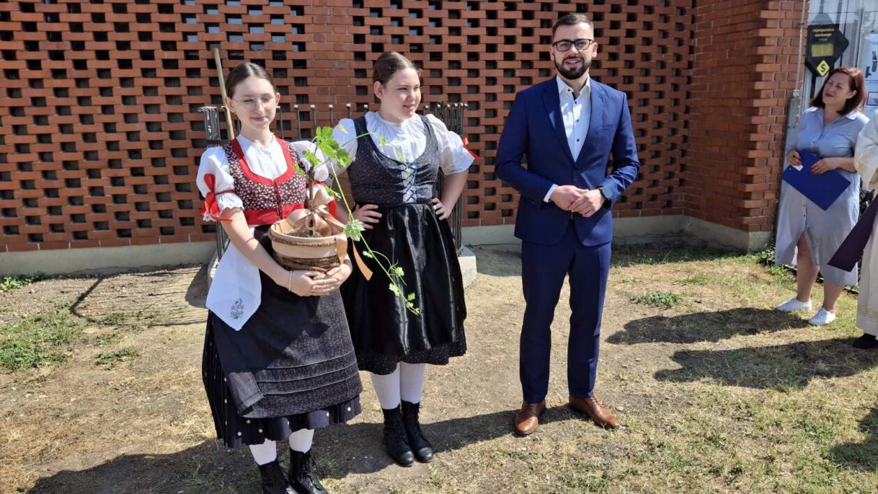 sadnja stare trte nedelišće (12)