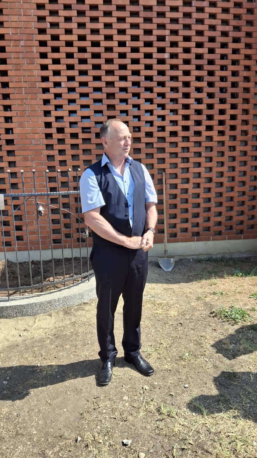 sadnja stare trte nedelišće (14)