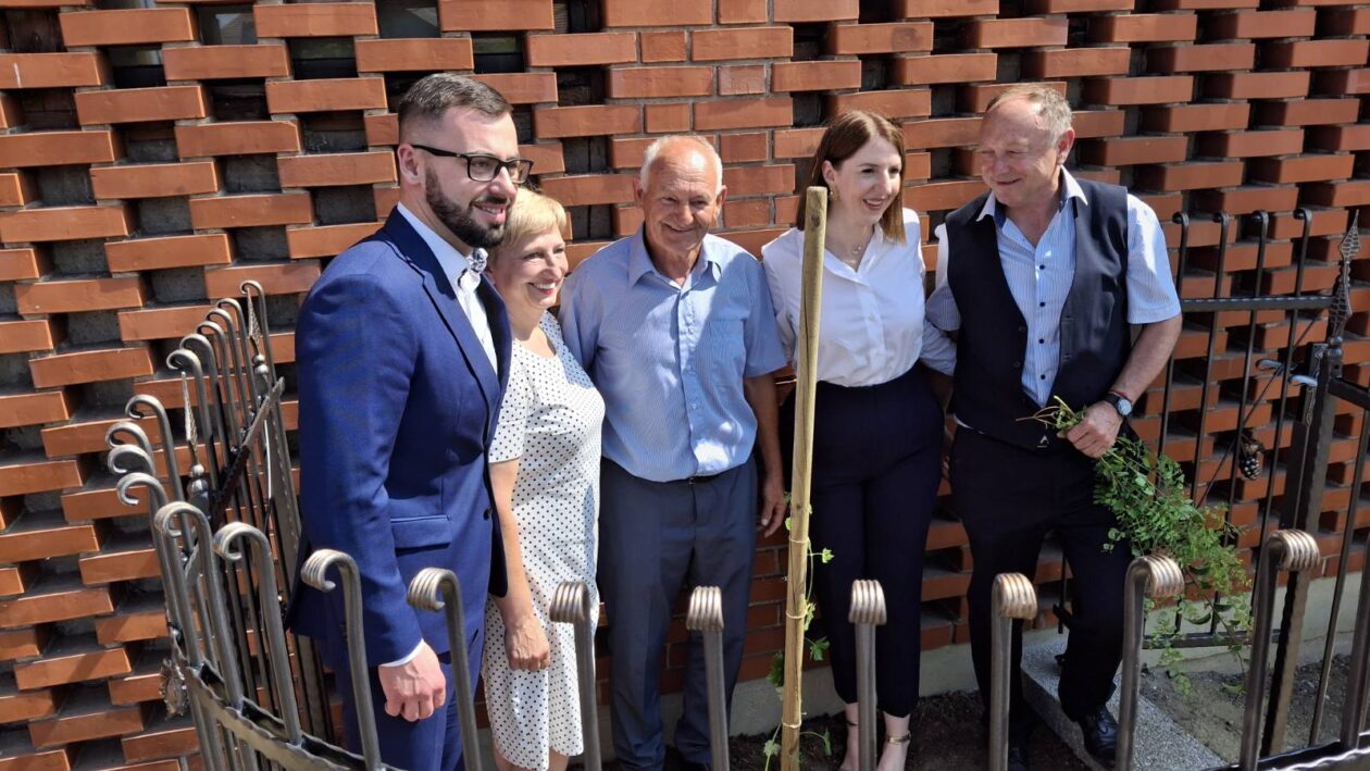 sadnja stare trte nedelišće (20)