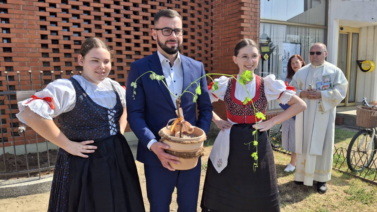 sadnja stare trte nedelišće (6)