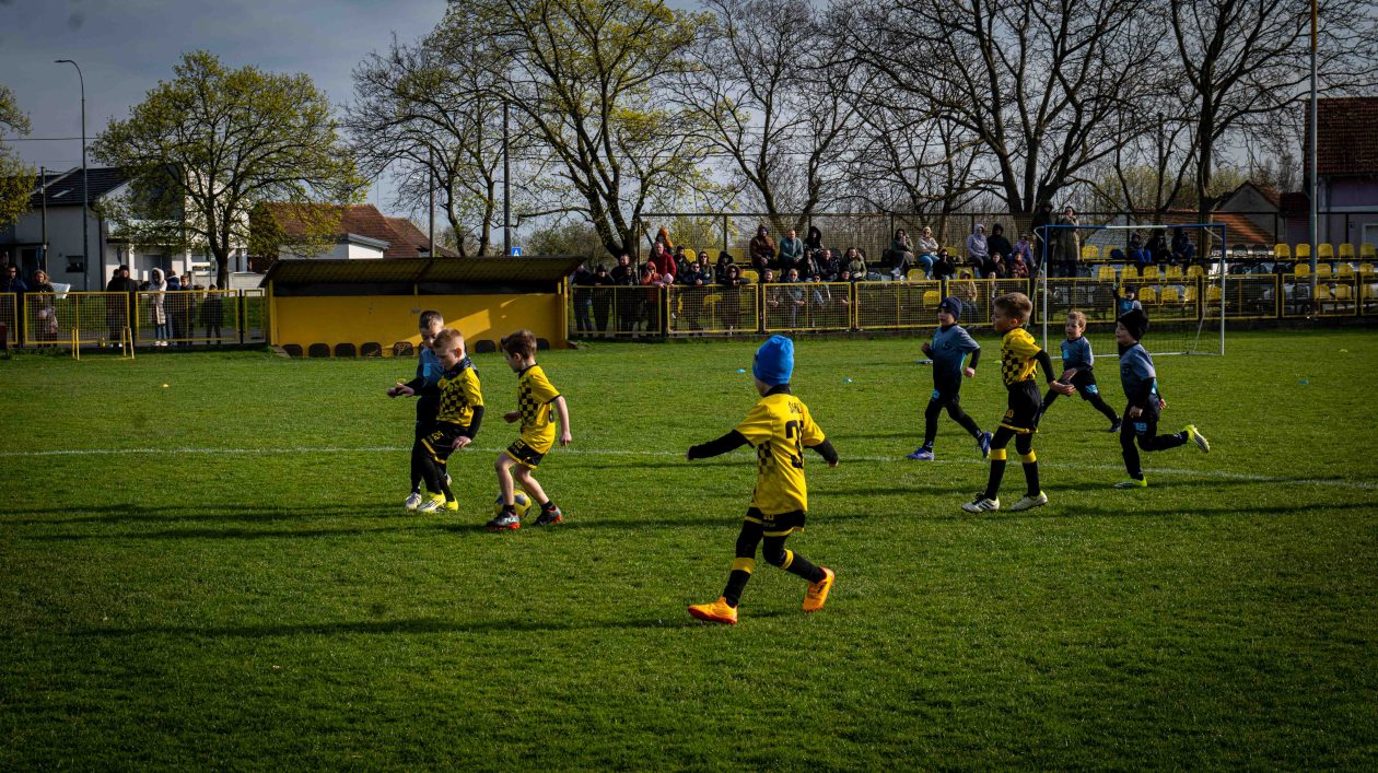 safčarski vuzem-12 safčarski vuzem-12