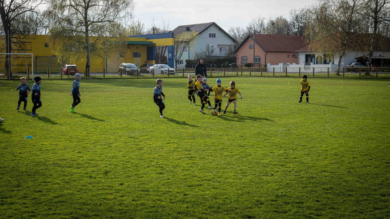safčarski vuzem-14 safčarski vuzem-14