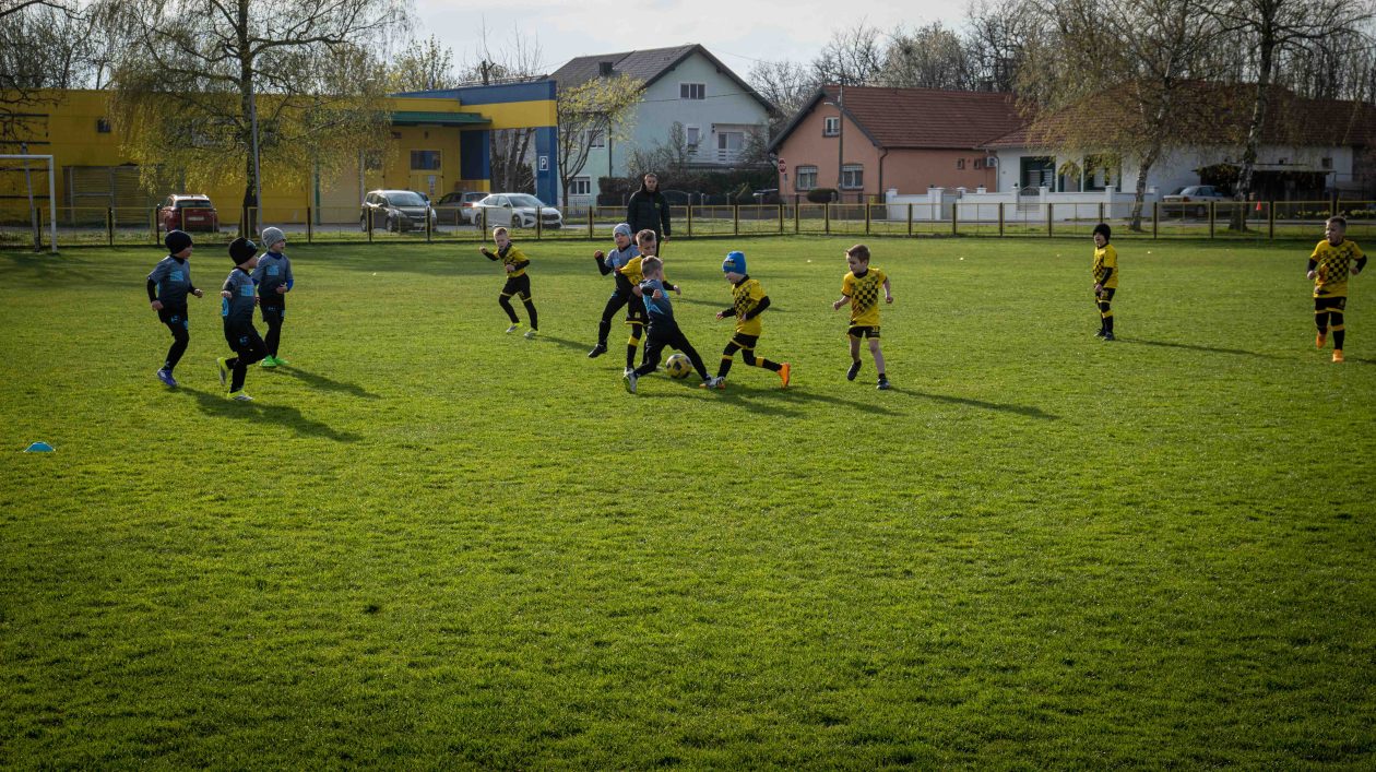 safčarski vuzem-15 safčarski vuzem-15