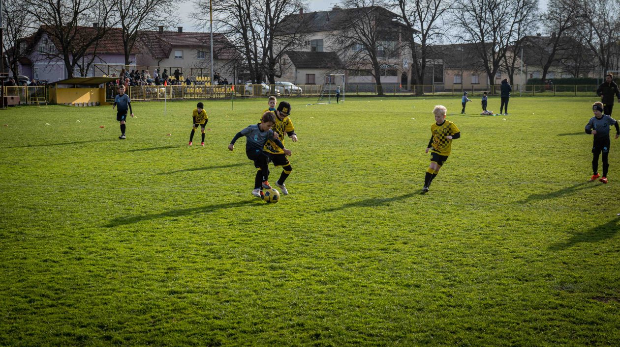 safčarski vuzem-29 safčarski vuzem-29