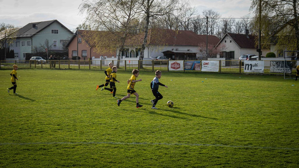 safčarski vuzem-41 safčarski vuzem-41