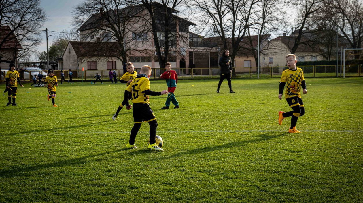 safčarski vuzem-44 safčarski vuzem-44
