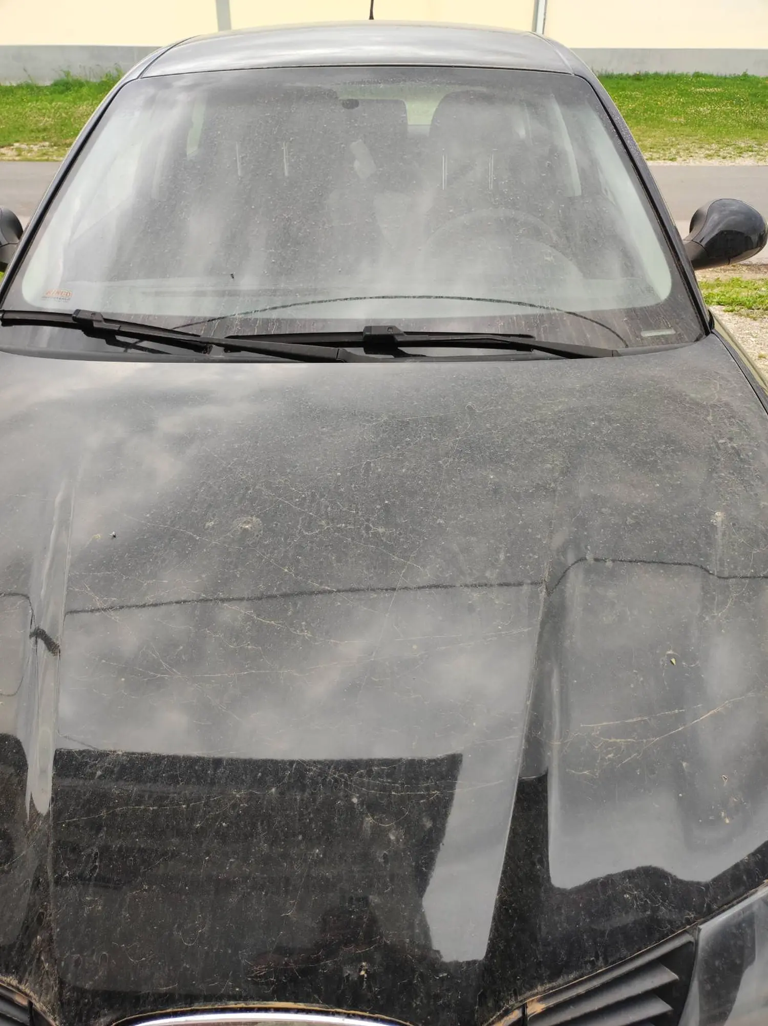 saharski pijesak (2)