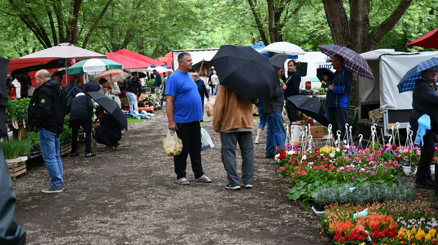 sajam 12.6.2024 (1) sajam 12.6.2024 (1)