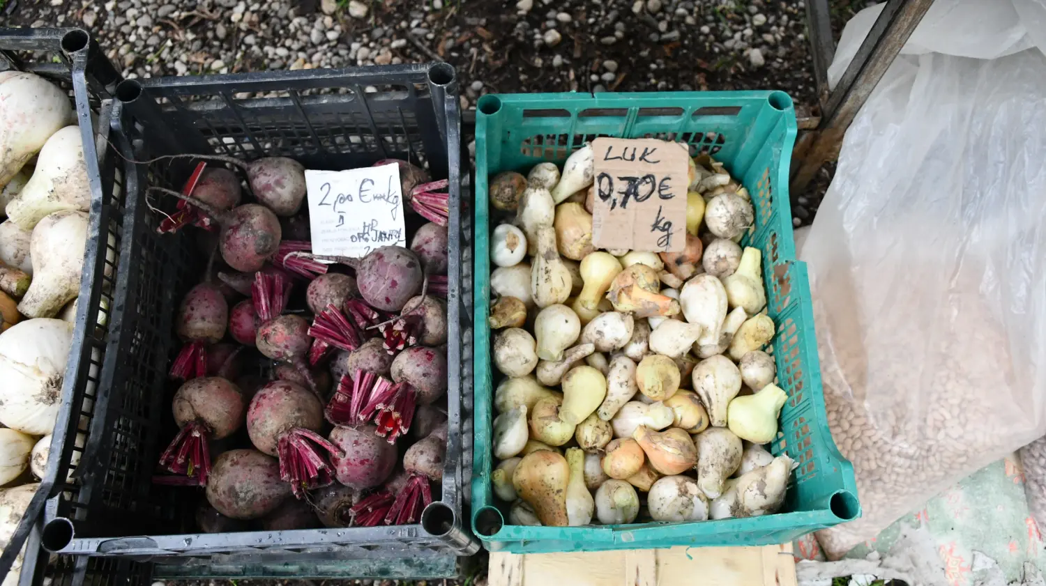 sajam 12.6.2024 (10) sajam 12.6.2024 (10)