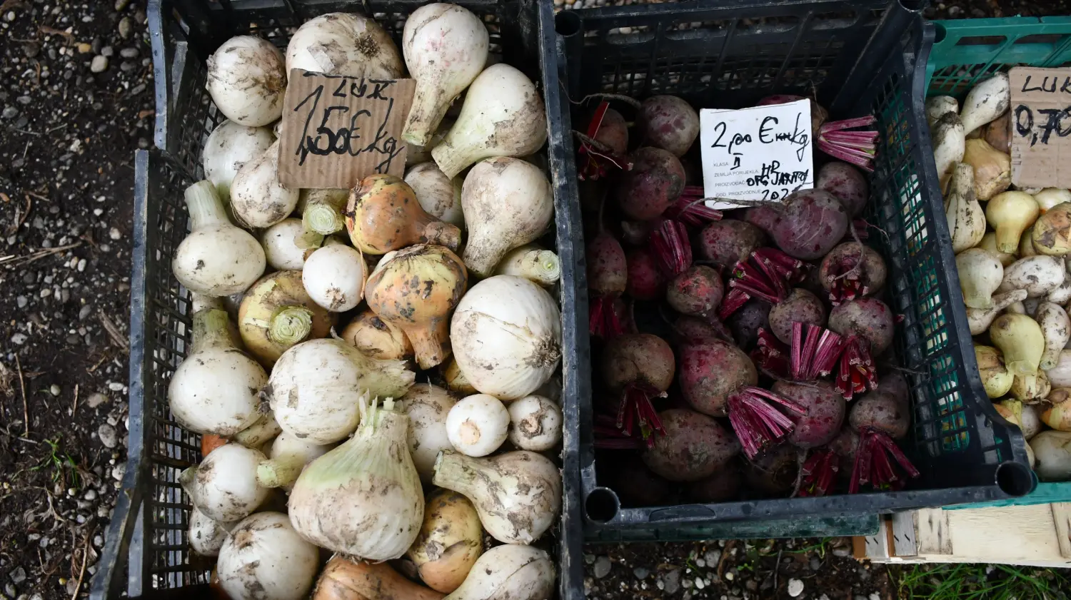 sajam 12.6.2024 (11) sajam 12.6.2024 (11)