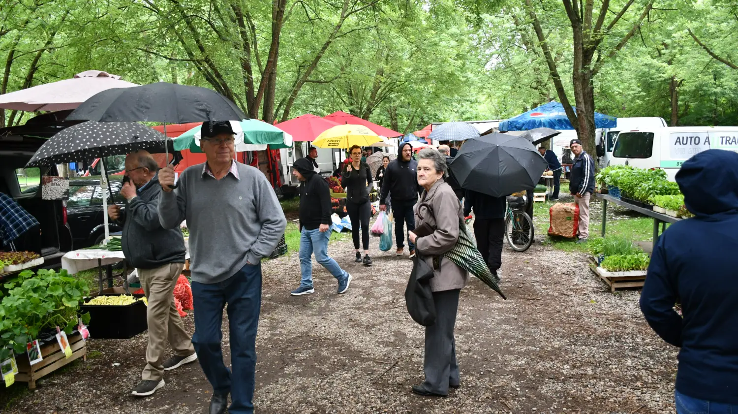 sajam 12.6.2024 (13) sajam 12.6.2024 (13)