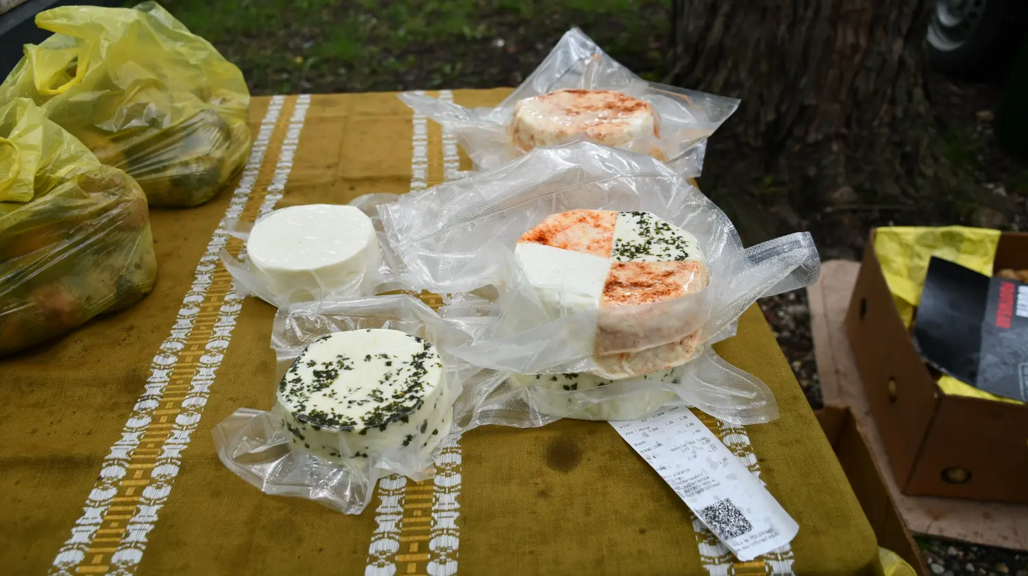 sajam 12.6.2024 (14) sajam 12.6.2024 (14)