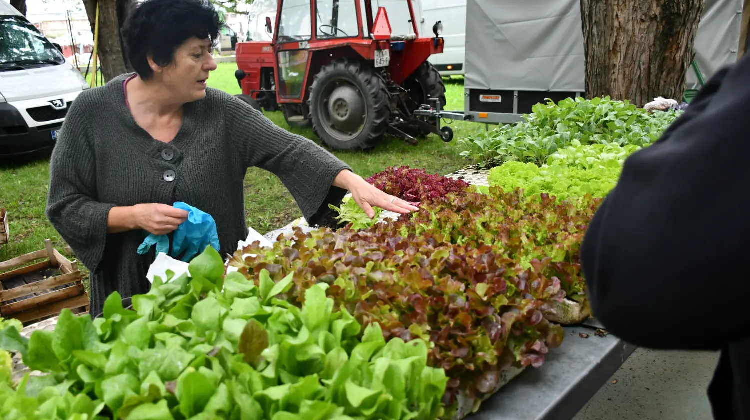 sajam 12.6.2024 (15) sajam 12.6.2024 (15)