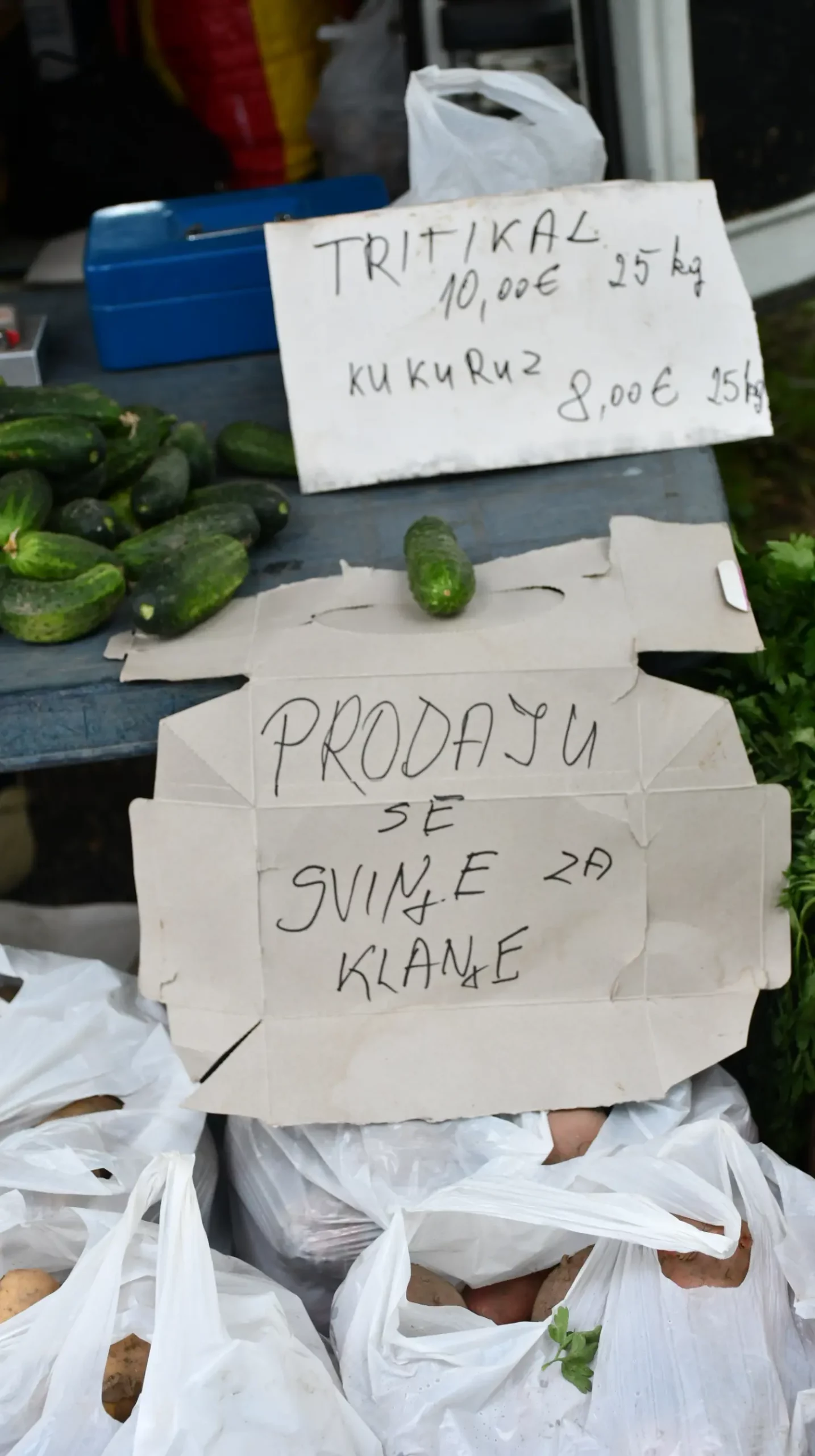 sajam 12.6.2024 (2) sajam 12.6.2024 (2)