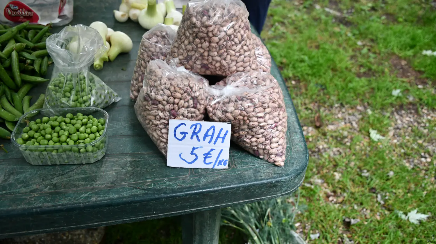 sajam 12.6.2024 (20) sajam 12.6.2024 (20)