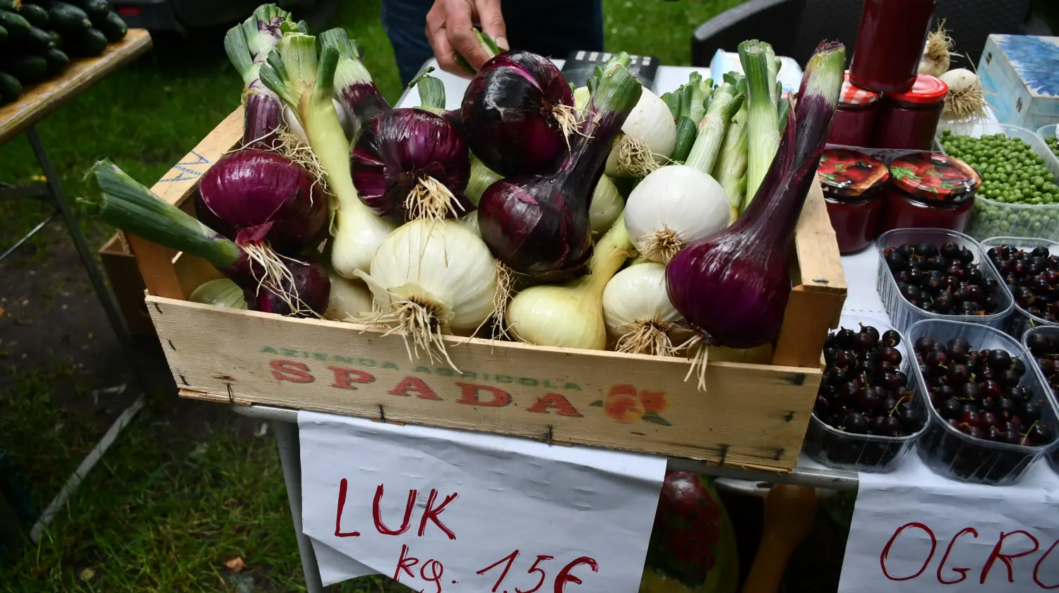 sajam 12.6.2024 (27) sajam 12.6.2024 (27)