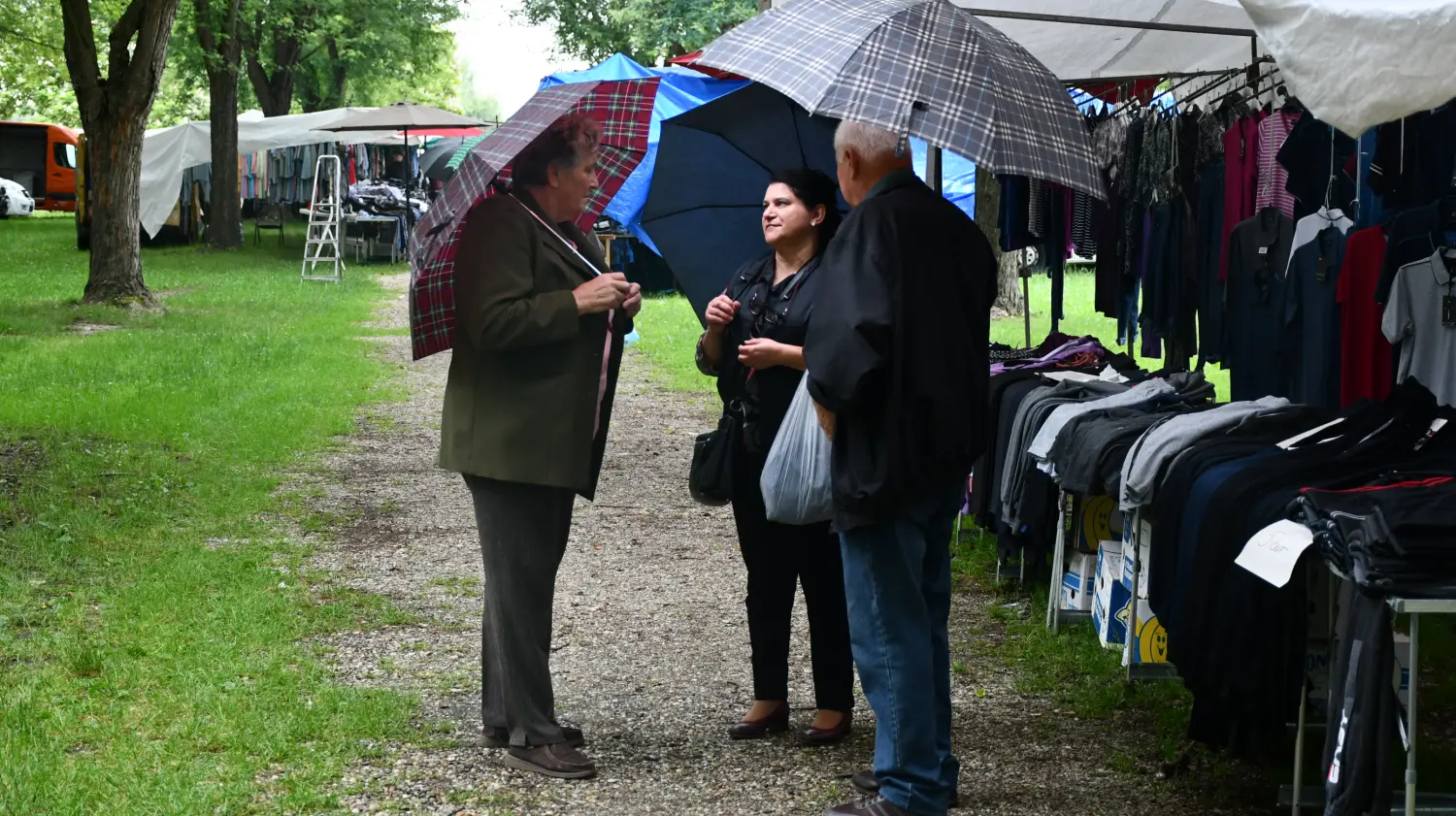 sajam 12.6.2024 (31) sajam 12.6.2024 (31)