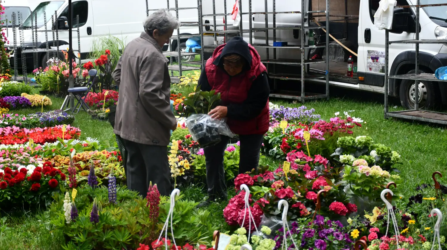 sajam 12.6.2024 (35) sajam 12.6.2024 (35)