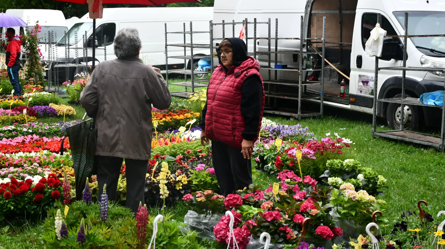 sajam 12.6.2024 (37) sajam 12.6.2024 (37)