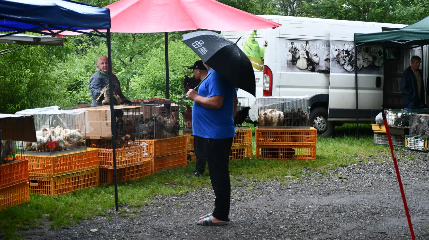 sajam 12.6.2024 (46) sajam 12.6.2024 (46)