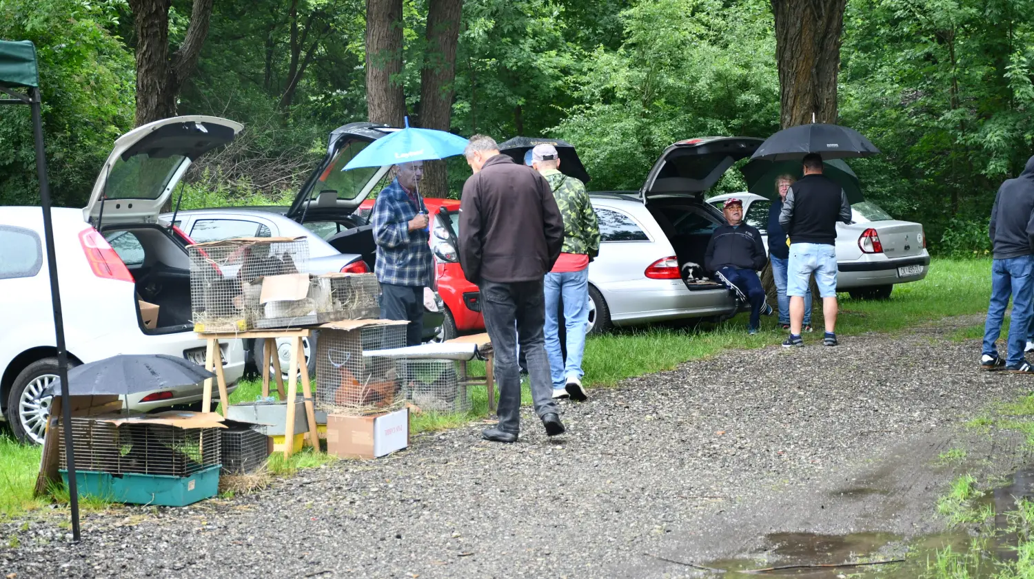 sajam 12.6.2024 (47) sajam 12.6.2024 (47)