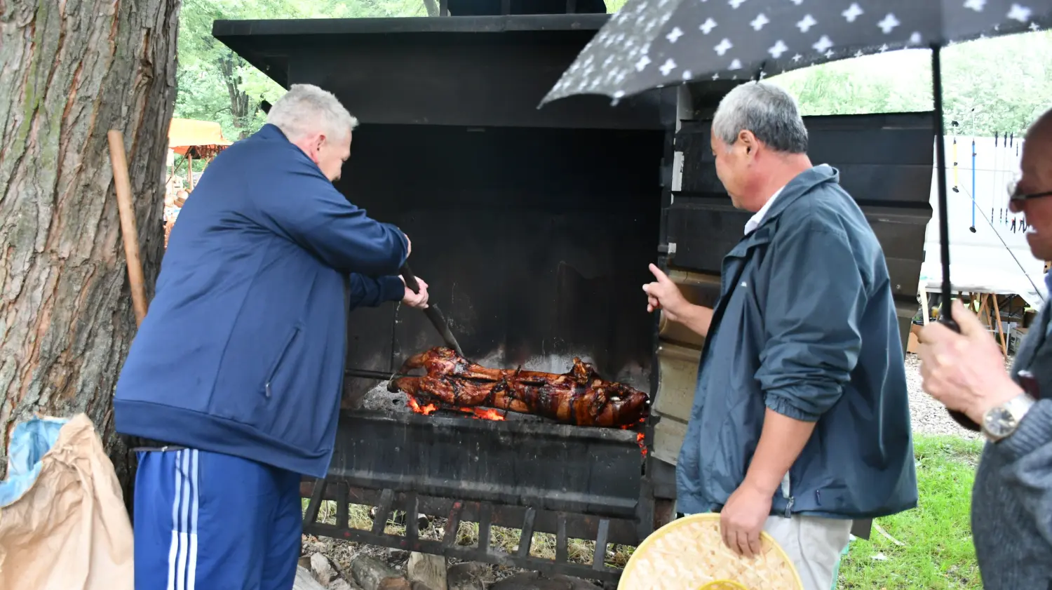 sajam 12.6.2024 (54) odojak sajam 12.6.2024 (54) odojak