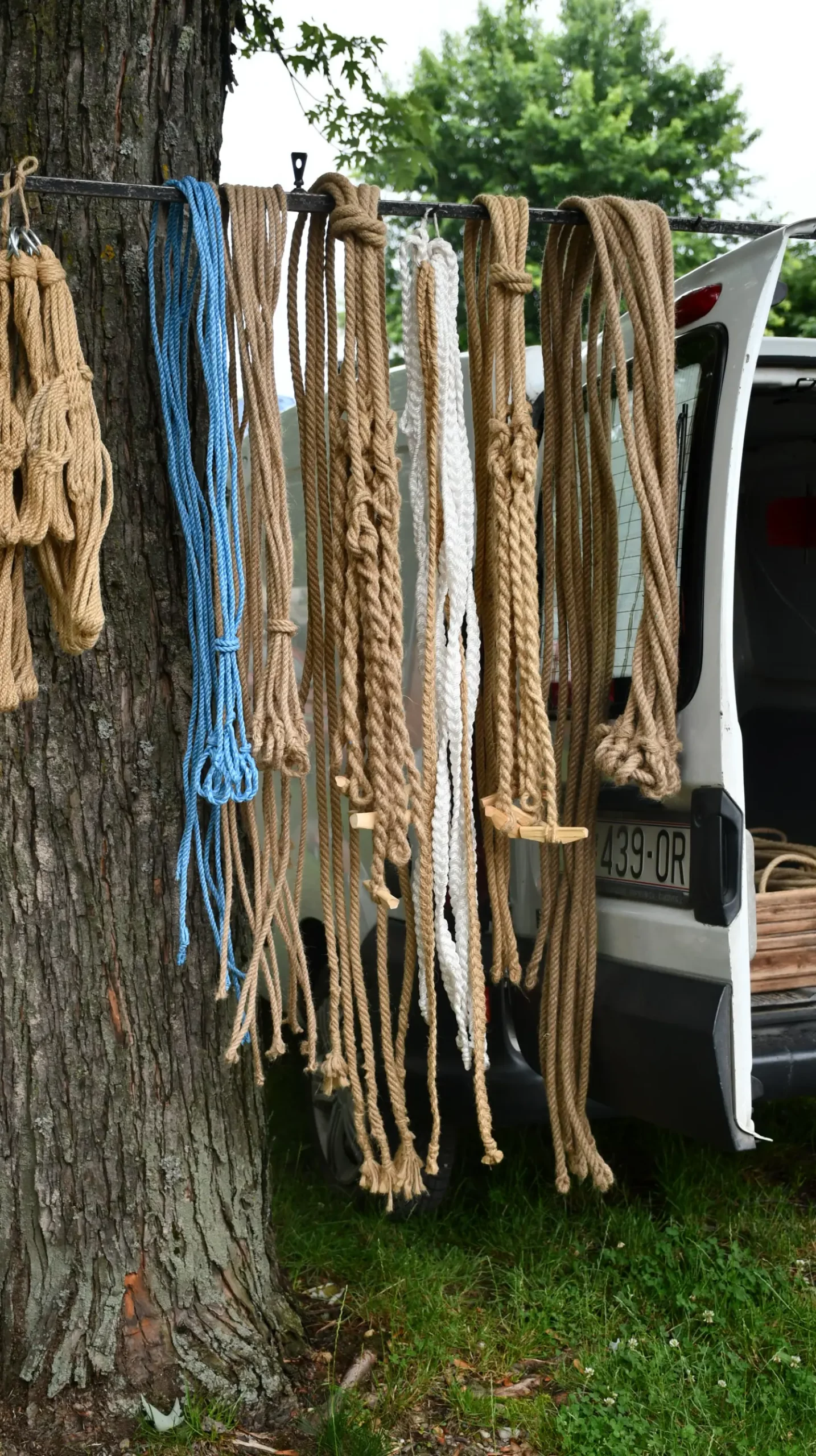 sajam 12.6.2024 (56) sajam 12.6.2024 (56)