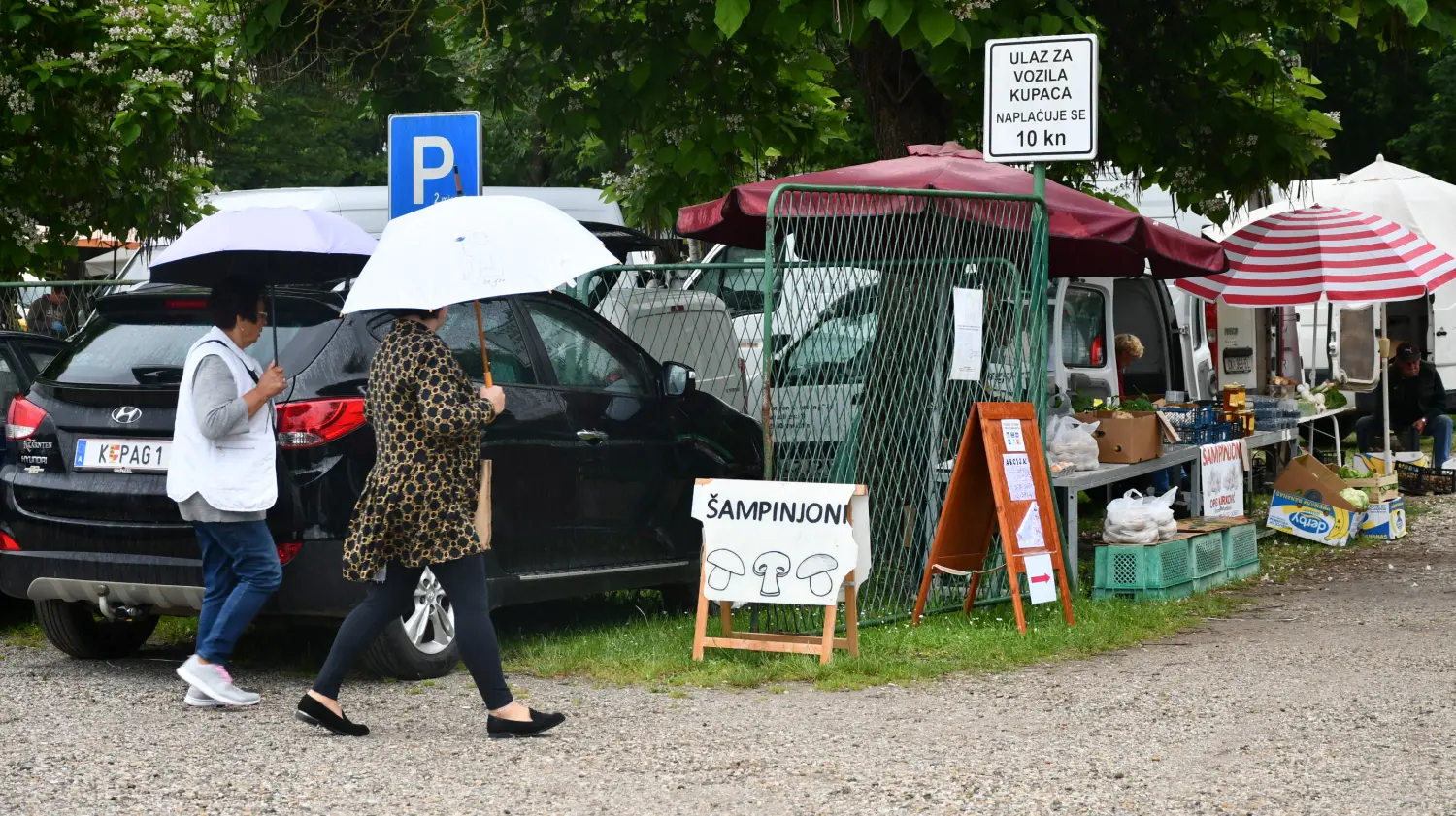 sajam 12.6.2024 (59) sajam 12.6.2024 (59)