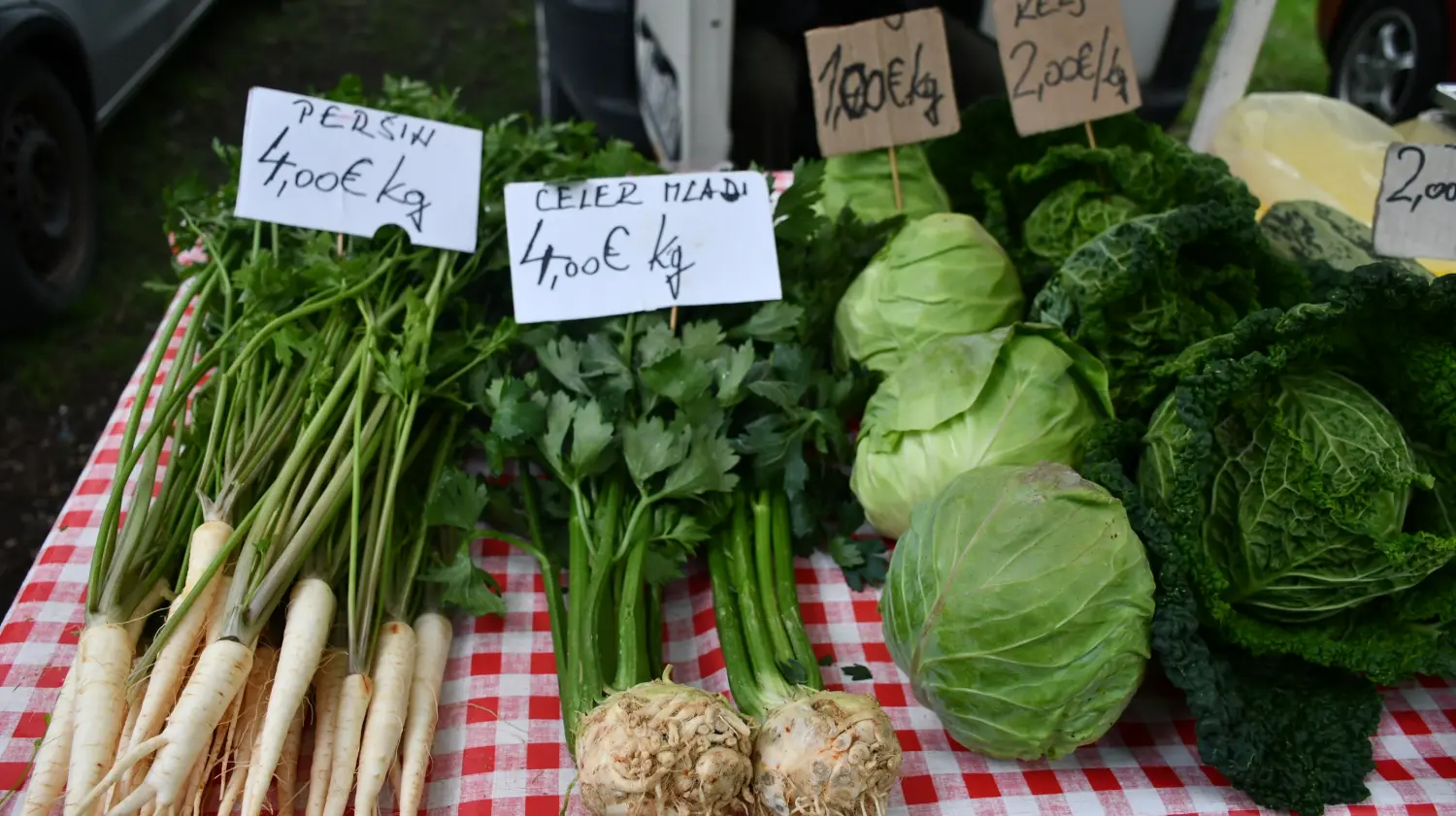 sajam 12.6.2024 (6) sajam 12.6.2024 (6)