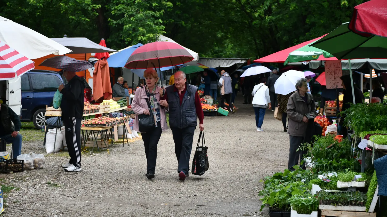 sajam 12.6.2024 (61) sajam 12.6.2024 (61)