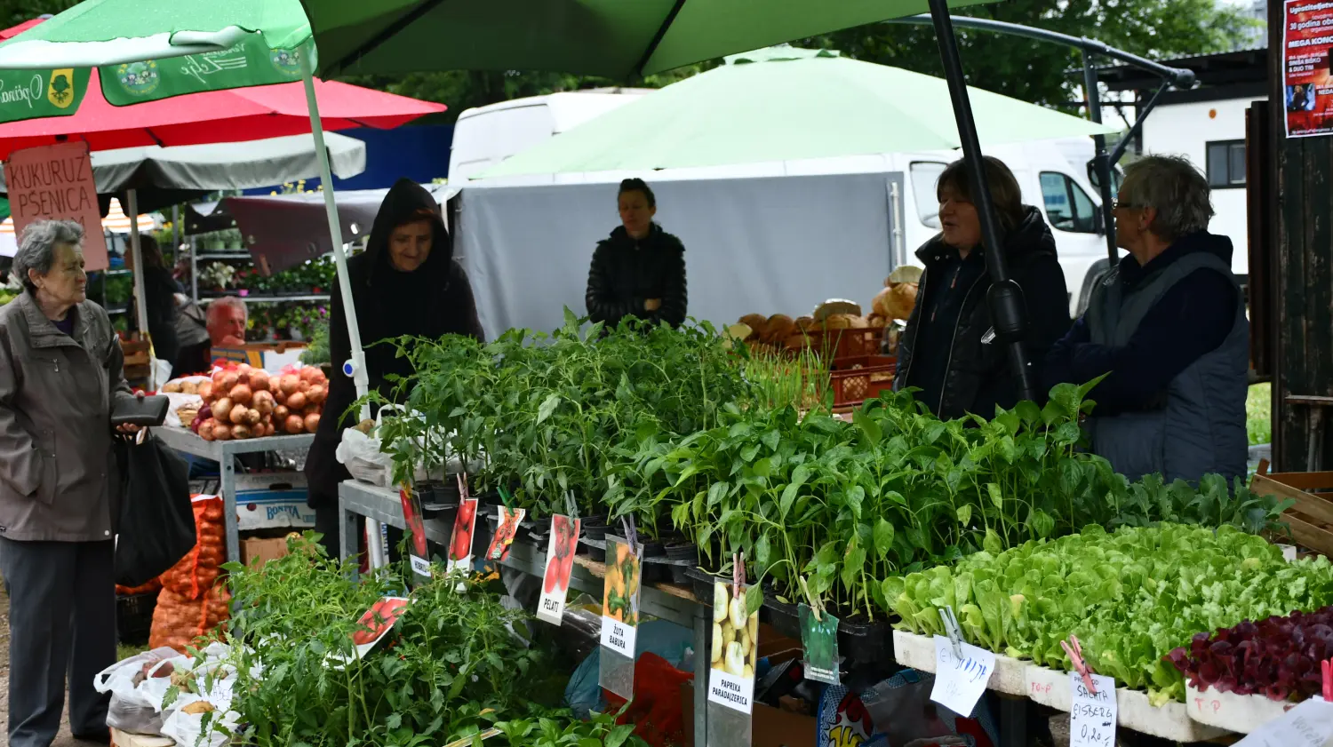 sajam 12.6.2024 (62) sajam 12.6.2024 (62)