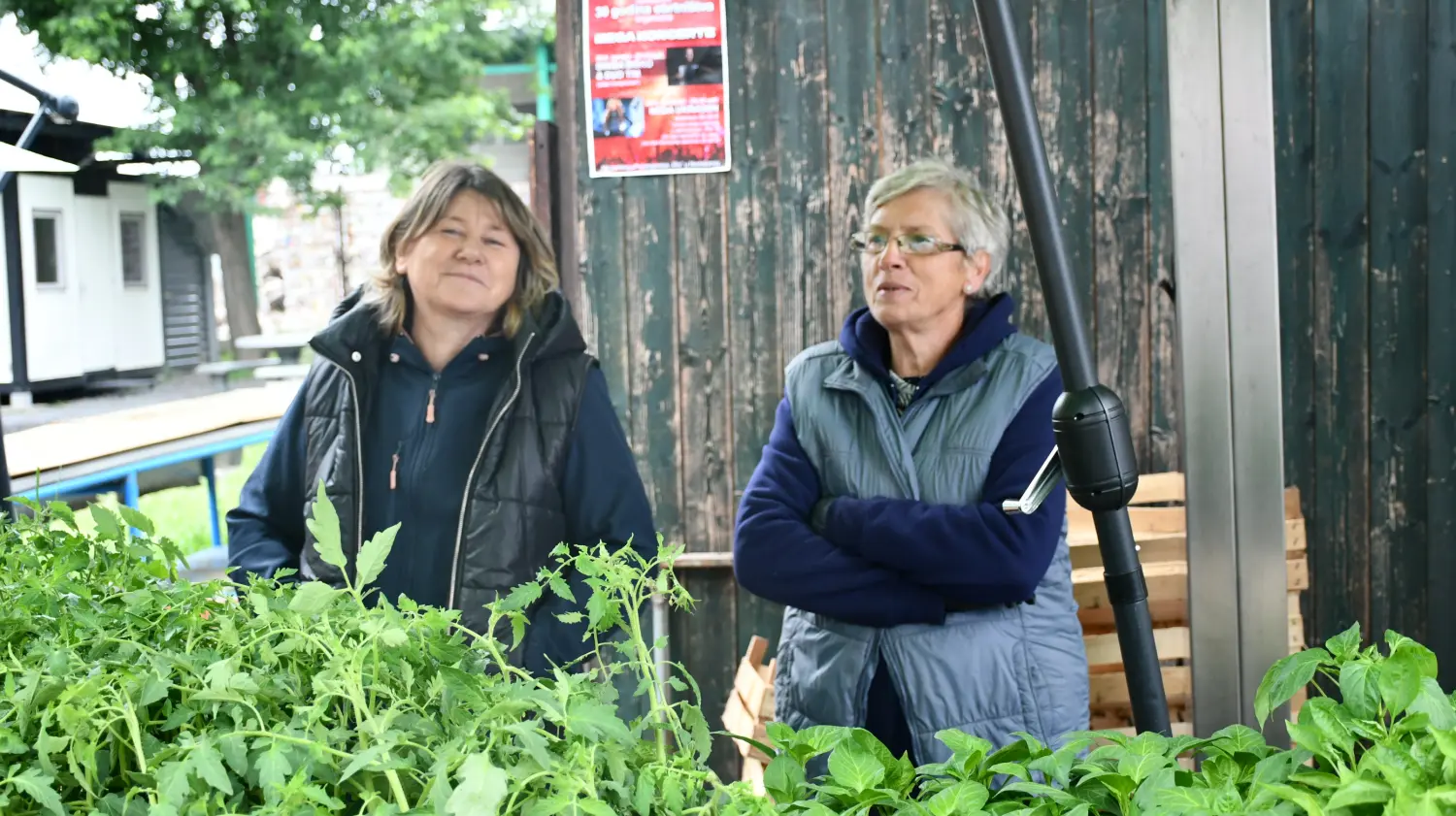 sajam 12.6.2024 (63) sajam 12.6.2024 (63)