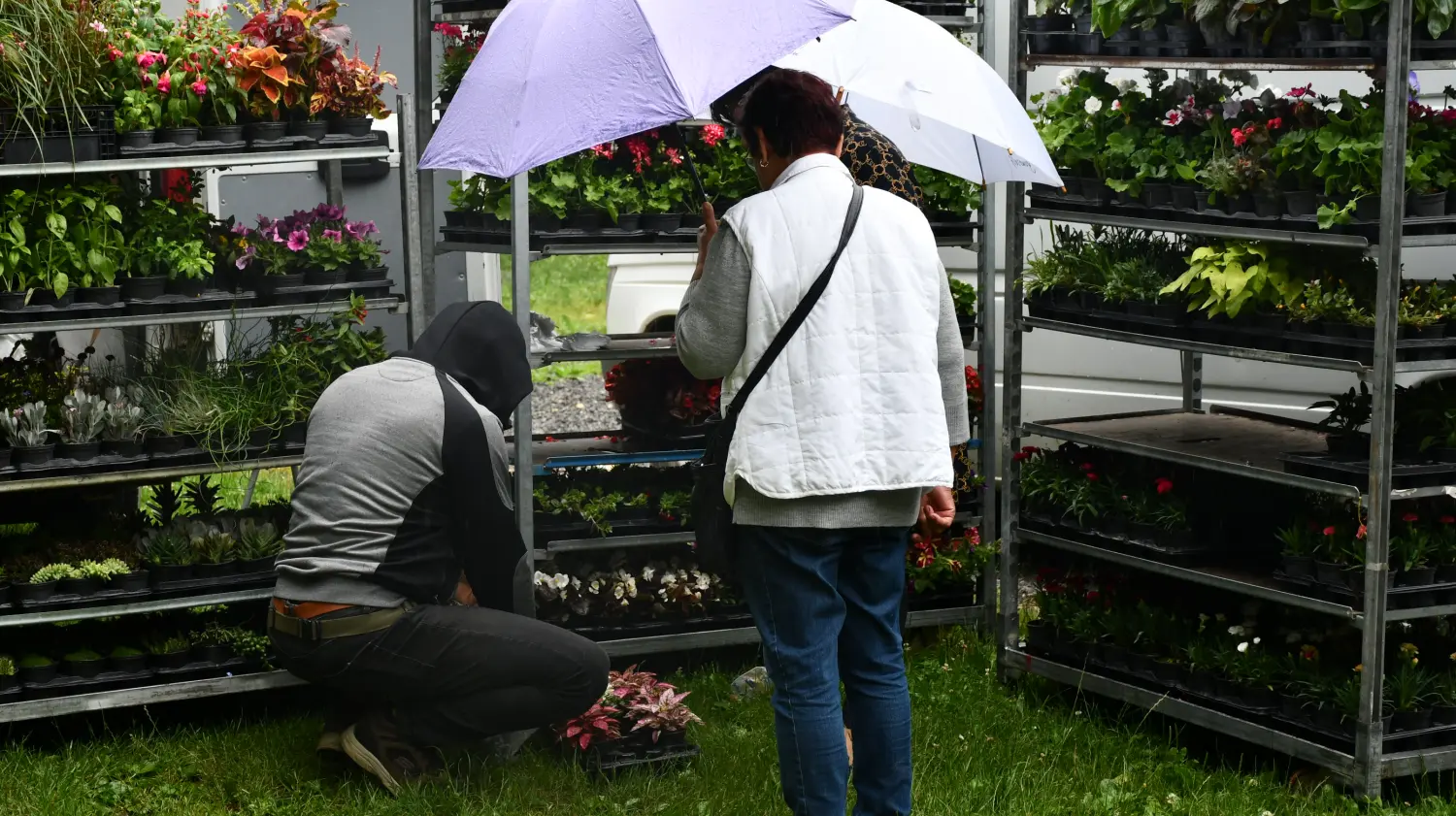 sajam 12.6.2024 (66) sajam 12.6.2024 (66)